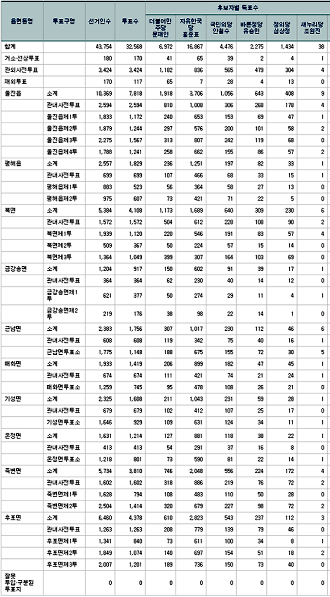 댜통령 선거 개표 현황-1.png